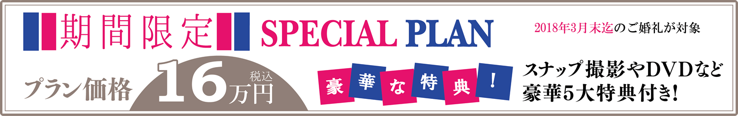 期間限定スペシャルプラン